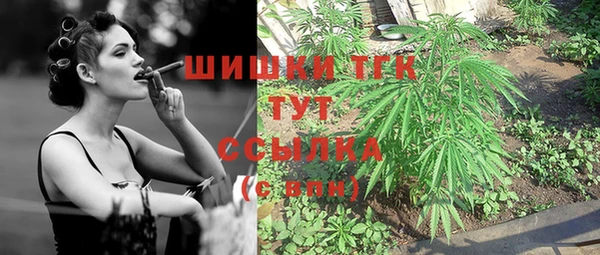 амф Белокуриха