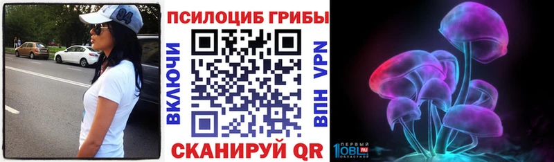 Купить где  Гремячинск  Галлюциногенные грибы прущие грибы 